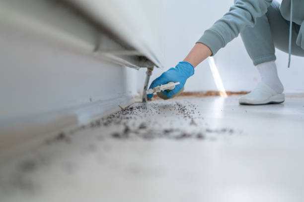 Reliable Clayton, NJ Pest Control Solutions